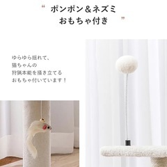 キャットタワー   の画像