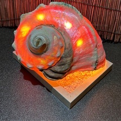特大シェルランプの画像