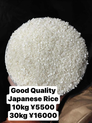 米 Japanese Rice