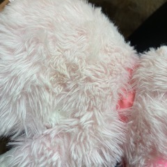 ねこのおいしゃさんの画像