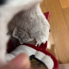 NIKE13センチの画像