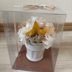 プリザーブドフラワーの画像