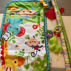 FisherPrice レインフォレスト　指遊びミュージカルジムの画像