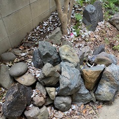 庭石　　ガーデニング　庭園　造園の画像
