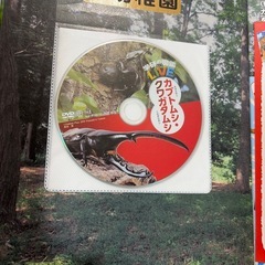 カブトムシ・クワガタ図鑑の画像