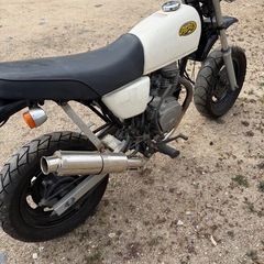 エイプ50の画像