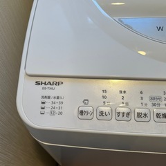 2024年製　SHARP乾燥機能付き洗濯機6.5kg の画像