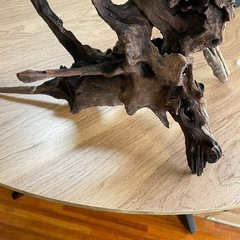 水槽などの画像