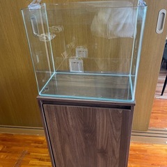 水槽などの画像