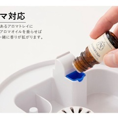 加湿器　タワー型の画像