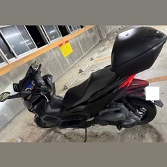 フォルツァ  FORZA mf13の画像