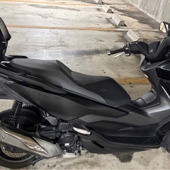 フォルツァ  FORZA mf13の画像