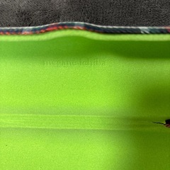 メガネケースの画像