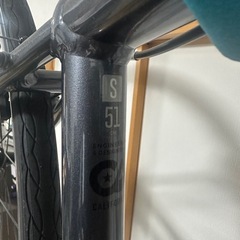 フェルト　ベルザスピード50の画像