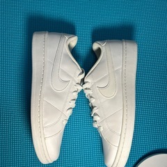 ナイキ　スニーカー　25センチの画像