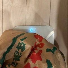 【令和7年産】山形県産はえぬき 12kgの画像