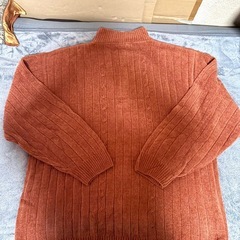 モール素材セーター ４Ｌの画像