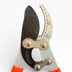 枝切り鋏 ハサミの画像