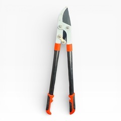 枝切り鋏 ハサミの画像