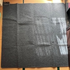 【無料】2畳用ホットカーペット（動作確認済み・汚れなし）の画像