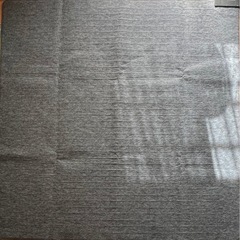 【無料】2畳用ホットカーペット（動作確認済み・汚れなし）の画像
