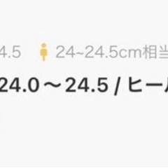 『新品未使用』ライトグレー 厚底ショートブーツ ジッパー付きの画像