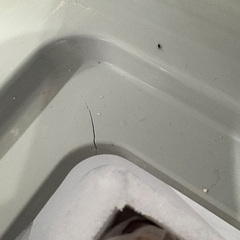 RIT冷凍ストッカーの画像