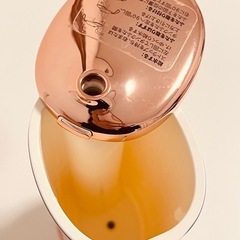 動作確認済　Regalino 口腔洗浄器 ジェットウォッシャー ピンク　箱ありの画像