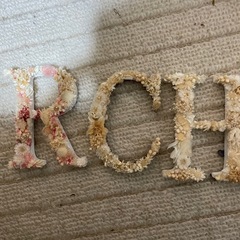 プリザーブド　小さなアルファベットの画像