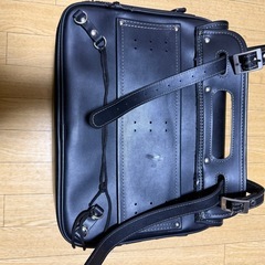 サドルバックの画像