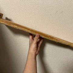 おまけ付き イージーホーム　エボ　８０ＷＨ 小動物 うさぎ、ペット用品ゲージ/ケージ の画像