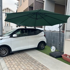 パラソルの画像