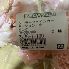 プリザーブドフラワー　ヘッドカーネーションの画像