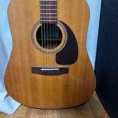 カナダ製アコギ ハードケース付の画像