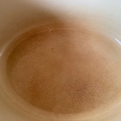 25cm　LE CREUSET 両手鍋 オーバルの画像