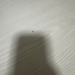 テーブルの画像