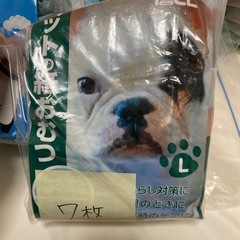犬用紙おむついろいろ　Ｌサイズの画像