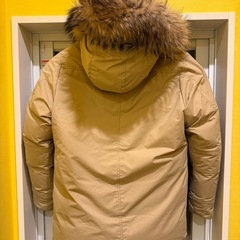 ピレネックス ダウン Lの画像