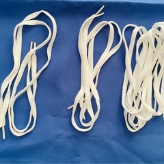 靴紐(スニーカー)の画像