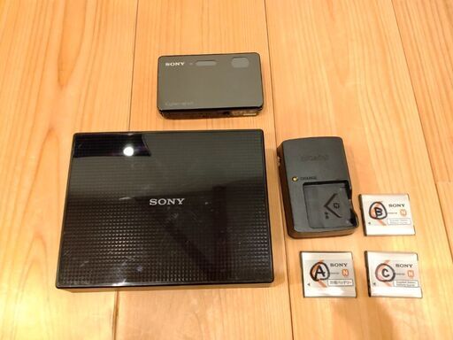 DSC-TX300V