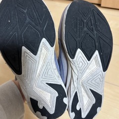 瞬足　19cmの画像