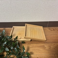 観葉植物🍃✖️2+トレイ✖️2　IKEAの画像