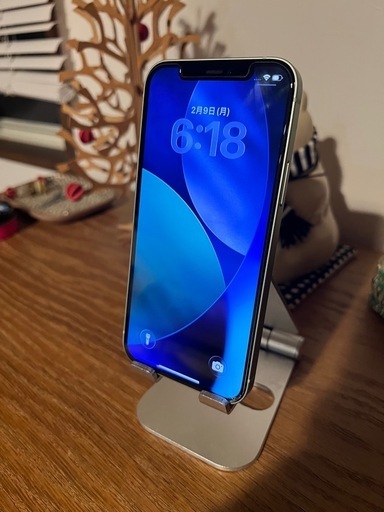 iPhone 12