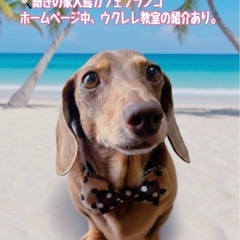 ウクレレ30分体験＆相談会募集の画像