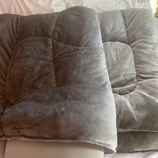 ニトリ シングル 1枚 カバーのいらない両面掛けふとん150x210cm  ほぼ新品
