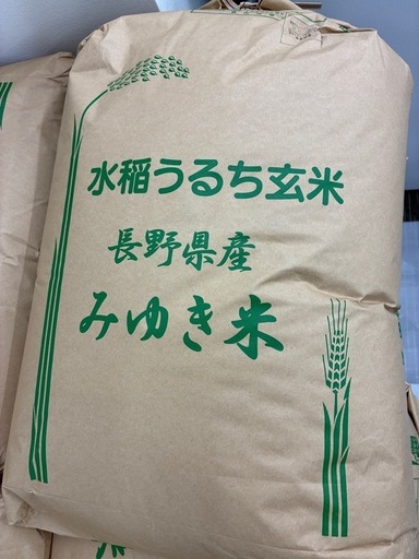 令和7年　長野県木島平産　風さやか　玄米30キロ