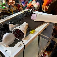 爬虫類ガラスゲージ、リクガメ2匹サービス、ヒーター、バスキングライト、エサリクガメの画像