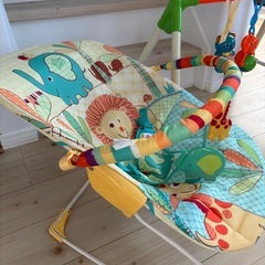 バウンサーとファンファンジムの画像