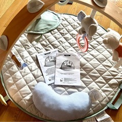 ベビージム　ingenuity インジェニュイティの画像