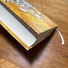 黙示録　　　池上永一の画像